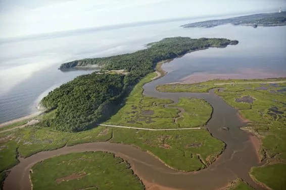 Irving Nature Park | Discover Saint John